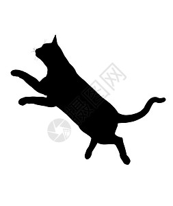 雄猫Cat 说明猫咪艺术动物猫科动物剪影虎斑宠物插图黑色背景