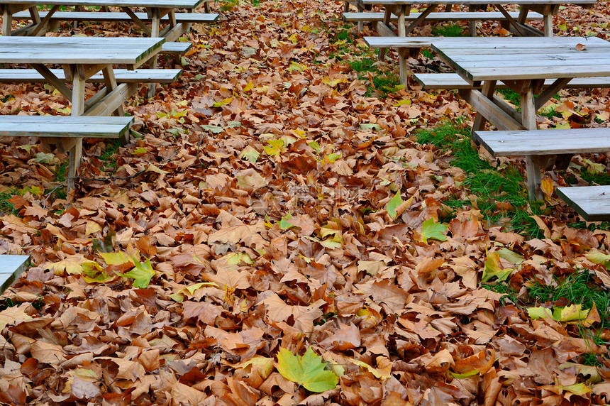 秋天空啤酒花园咖啡馆餐厅桌子树叶木头露天公园长凳图片