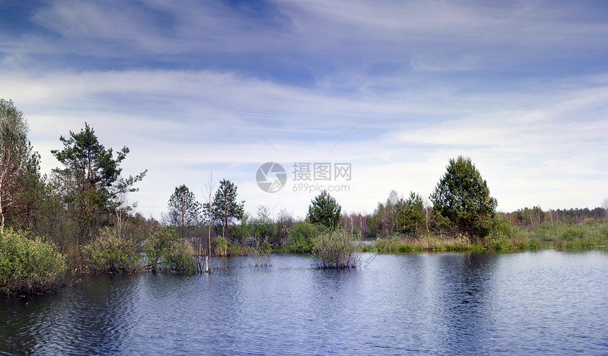 森林的自然构成情况 其自然组成地平线旅行蓝色天空日落洪水池塘阳光季节太阳图片