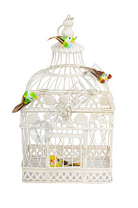 美丽的雕刻笼笼笼与鸟类隔离宠物栅栏玩具自由圆形古董工作室白色鸟笼俘虏背景图片