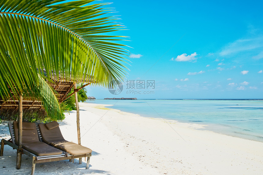 马尔代夫美丽的沙滩海岸线海景风景旅行椅子海洋蓝色棕榈躺椅假期图片
