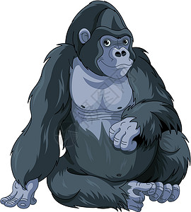 大猩猩进食在坐大猩猩设计图片