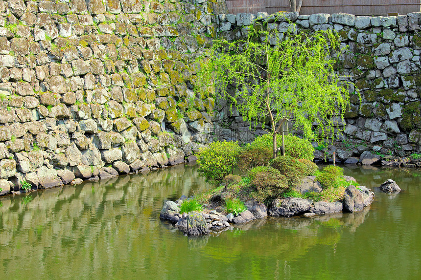 带湖的日本花园公园叶子冥想城堡植物学池塘绿色岩石石头园艺图片