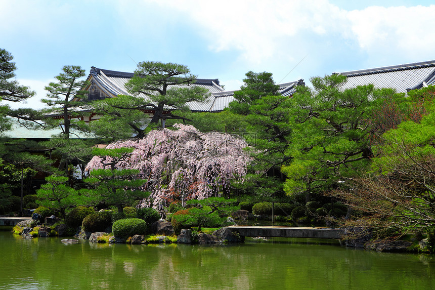 热带花园 有日式的日式展馆图片