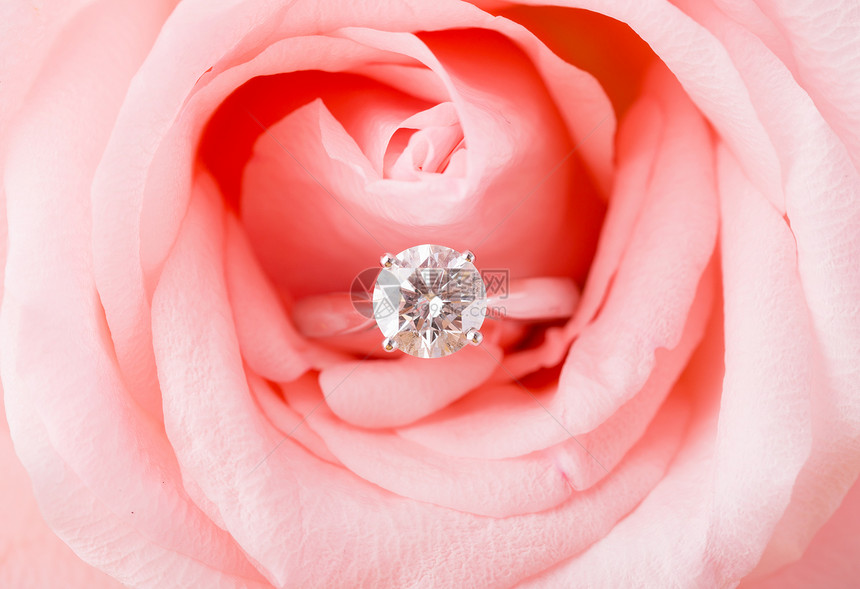玫瑰和钻石念日白色礼物婚礼花瓣宏观戒指珠宝订婚粉色图片
