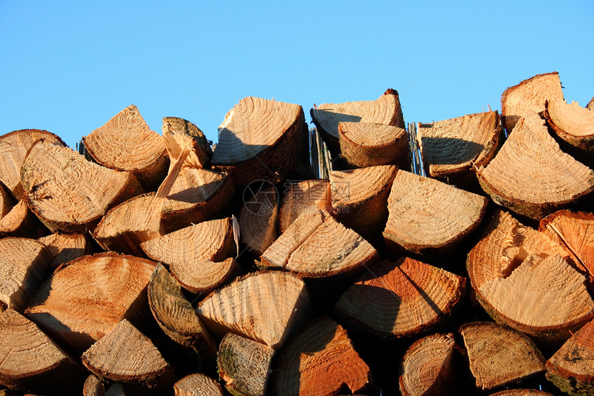 堆叠的原木木板天空森林树干木材木屑木头木桩木柴震惊图片