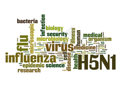 H5N1字云背景图片