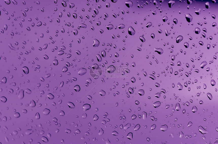 水滴数墙纸宏观液体紫色图片