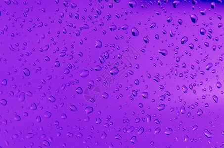 水滴数液体紫色宏观墙纸背景图片