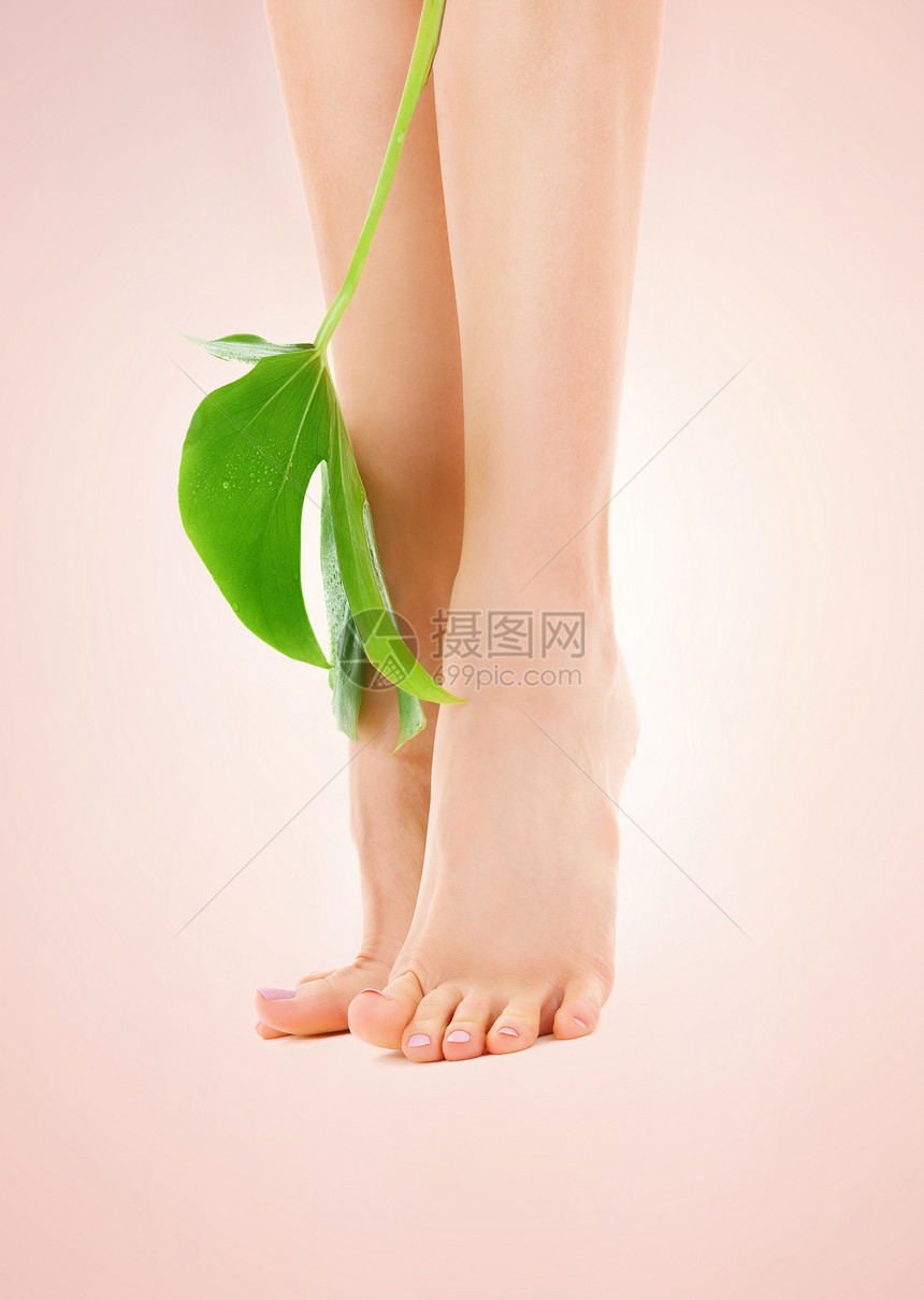 绿叶女腿皮肤女孩温泉极乐足疗平衡活力赤脚脚尖植物图片