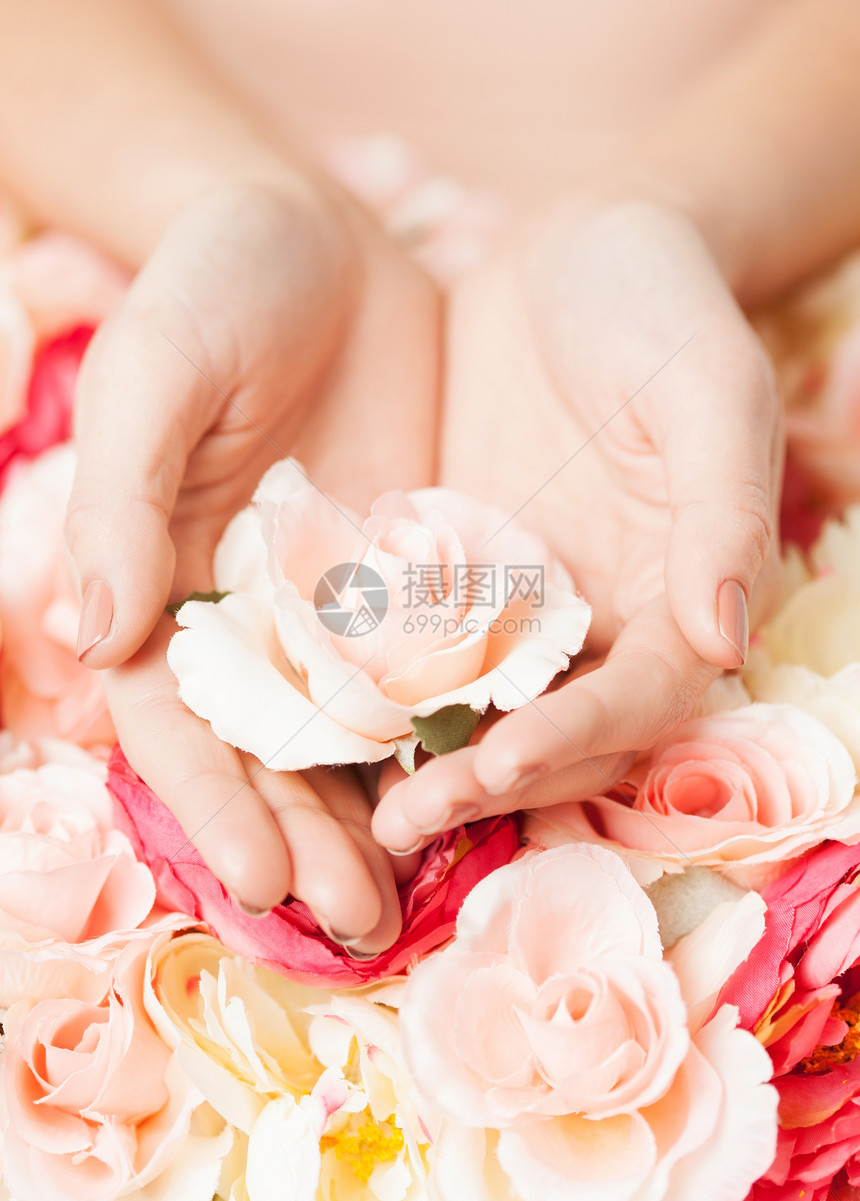 女人的手握着玫瑰花朵订婚沙龙花店保养指甲香气农村婚姻园丁图片