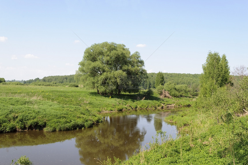 春季时的河流景观图片