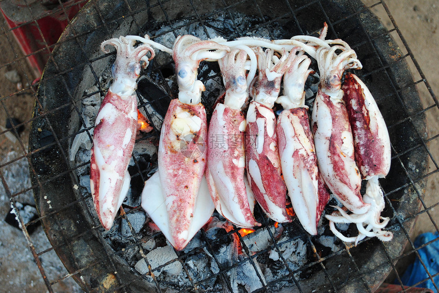 灰状鱿鱼盘子炙烤海鲜动物营养乌贼美食烹饪食物甲壳图片