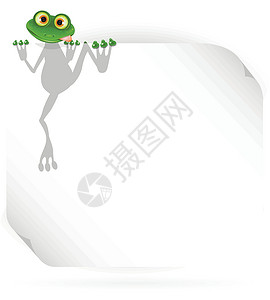 青蛙图标青蛙和白色背景展示动物群爪子红色兴趣壁虎舌头绿色海报眼睛设计图片