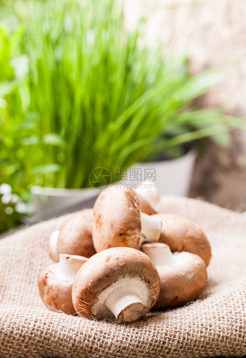 新鲜棕褐色蘑菇市场饮食美味蔬菜食物菌类芳香美食味道棕色图片