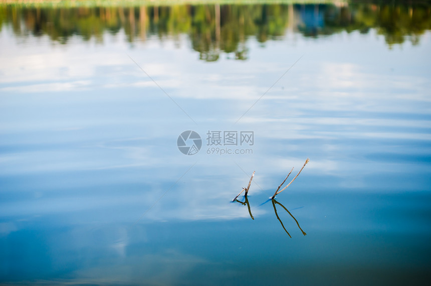 春天的池塘森林生活反射环境草地植物公园绿色场景假期图片