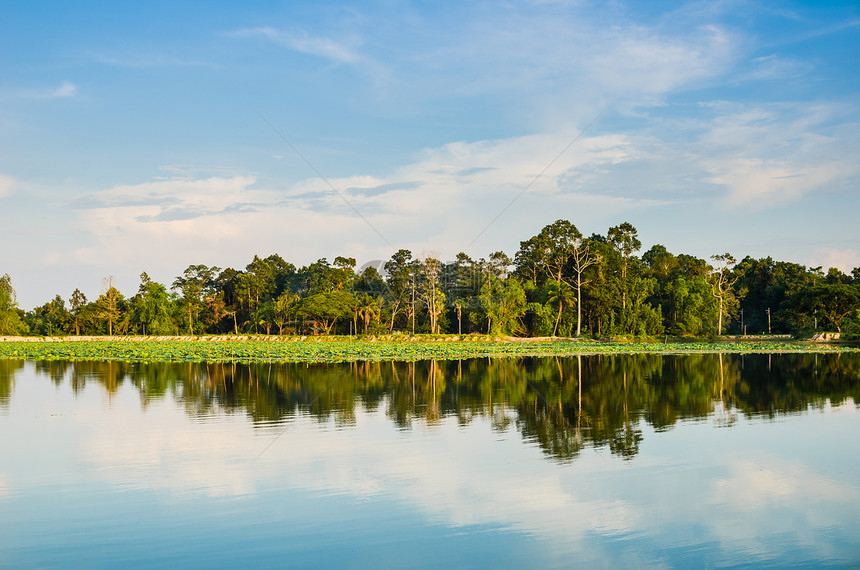 春天的池塘公园生活天空森林绿色乡村草地环境反射假期图片