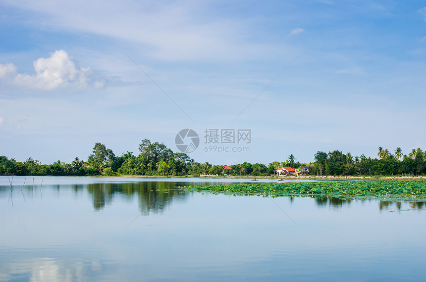 春天的池塘乡村假期绿色环境生活场景气候季节天空植物图片