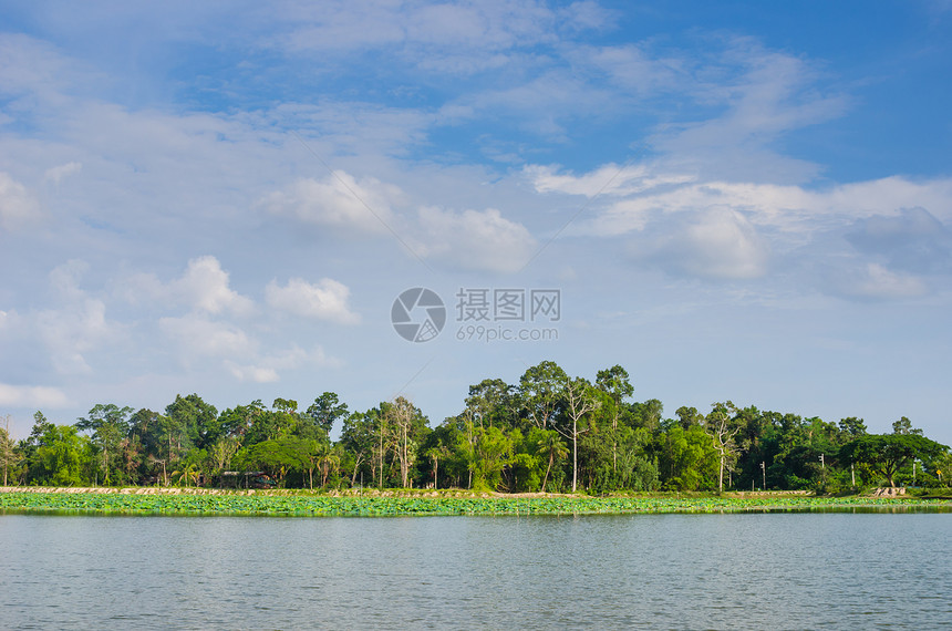 春天的池塘假期乡村森林植物天空生活公园蓝色场景气候图片