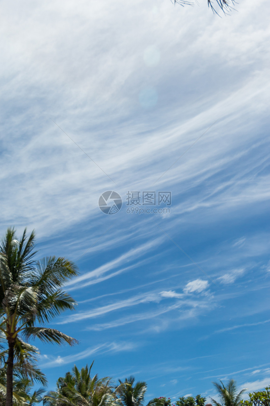 印度尼西亚巴厘岛热带热带绿棕榈树旅行晴天环境植被叶子天堂假期墙纸旅游椰子图片