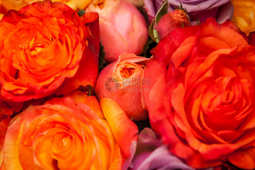 色彩多彩的玫瑰团风格花朵礼物装饰零售铭文苗圃花束花店花艺图片