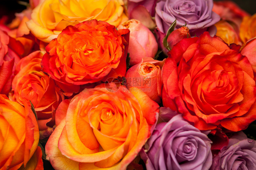 色彩多彩的玫瑰团庆典铭文装饰花束生日植物礼物销售风格花艺图片