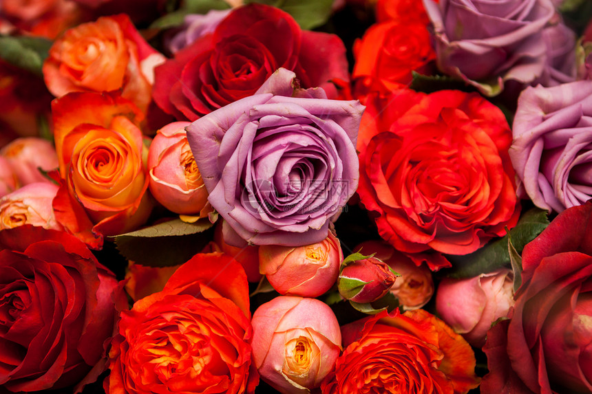 色彩多彩的玫瑰团纪念日礼物展示花店铭文装饰苗圃风格植物群花束图片