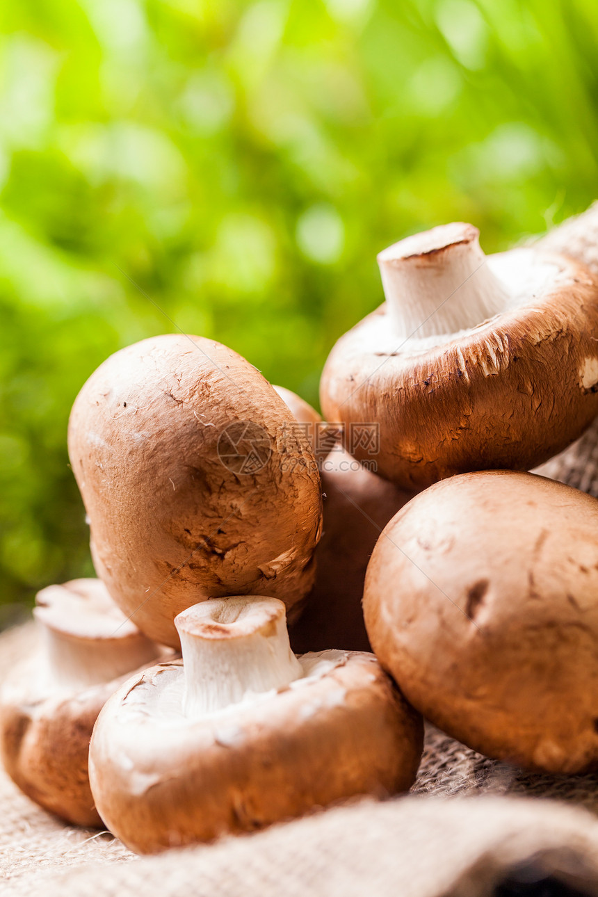 新鲜棕褐色蘑菇营养饮食芳香蔬菜菌类生产农场味道食物市场图片
