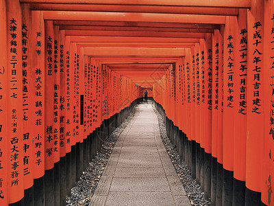 日本京都神社的托里伊橙子旅游旅行神道神社寺庙背景图片