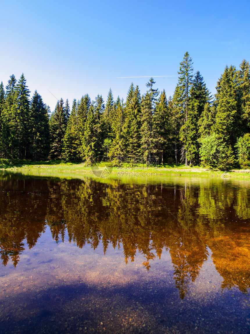 森林湖晴天天空池塘旅行云杉森林反射场景蓝色山脉图片