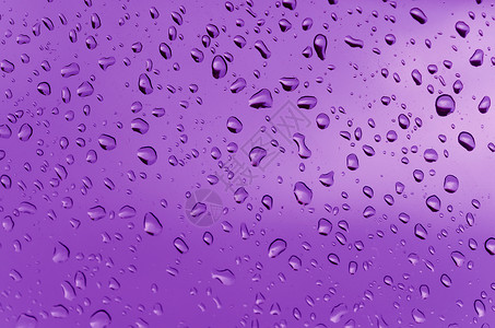 水滴数墙纸紫色液体宏观背景图片