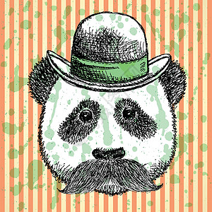 熊猫帽子挂着胡子 矢量背景的长袍熊猫服装草图财富绘画艺术野生动物潮人先生动物绅士设计图片