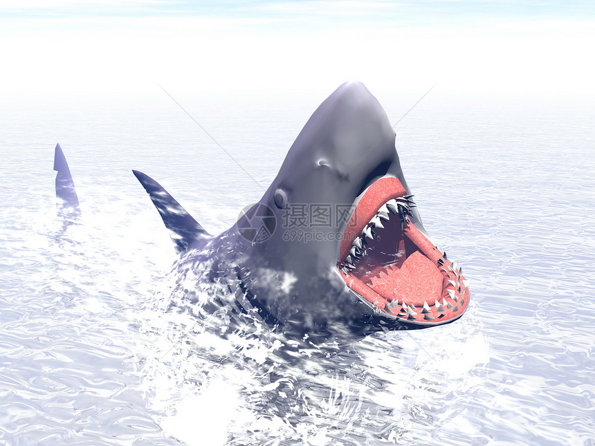 鲨鱼攻击  3D危险插图白色蓝色海洋动物游泳捕食者泡沫牙齿图片