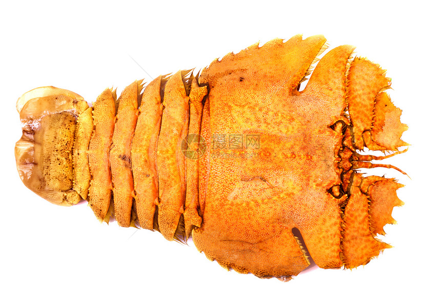 白上隔离的虾食物柠檬动物美食螳螂贝类饮食营养海鲜餐厅图片