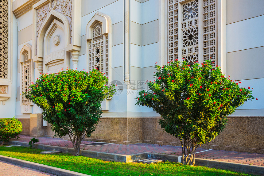 Sharjah一座清真寺背景上的树木建筑建筑学圆形尖塔寺庙圆顶宗教晴天图片