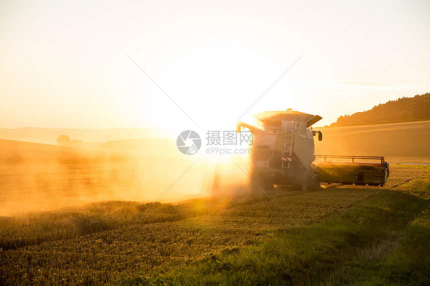 日落时收割收成种子车辆小麦收获谷物玉米阳光食物粮食图片