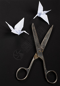 旧剪刀折纸黑色白色鸟类金属工具工艺黑与白背景图片