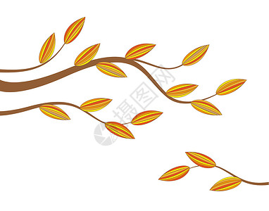 秋季假期边界打印艺术叶子森林曲线运动植物学插图花园背景图片