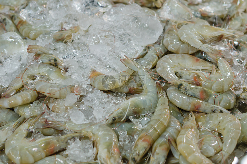 新鲜虾虾食物海鲜贝类团体市场图片