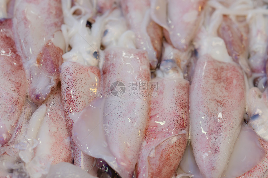 新鲜的鱿鱼白色棕色美食市场营养海鲜食物章鱼团体乌贼图片