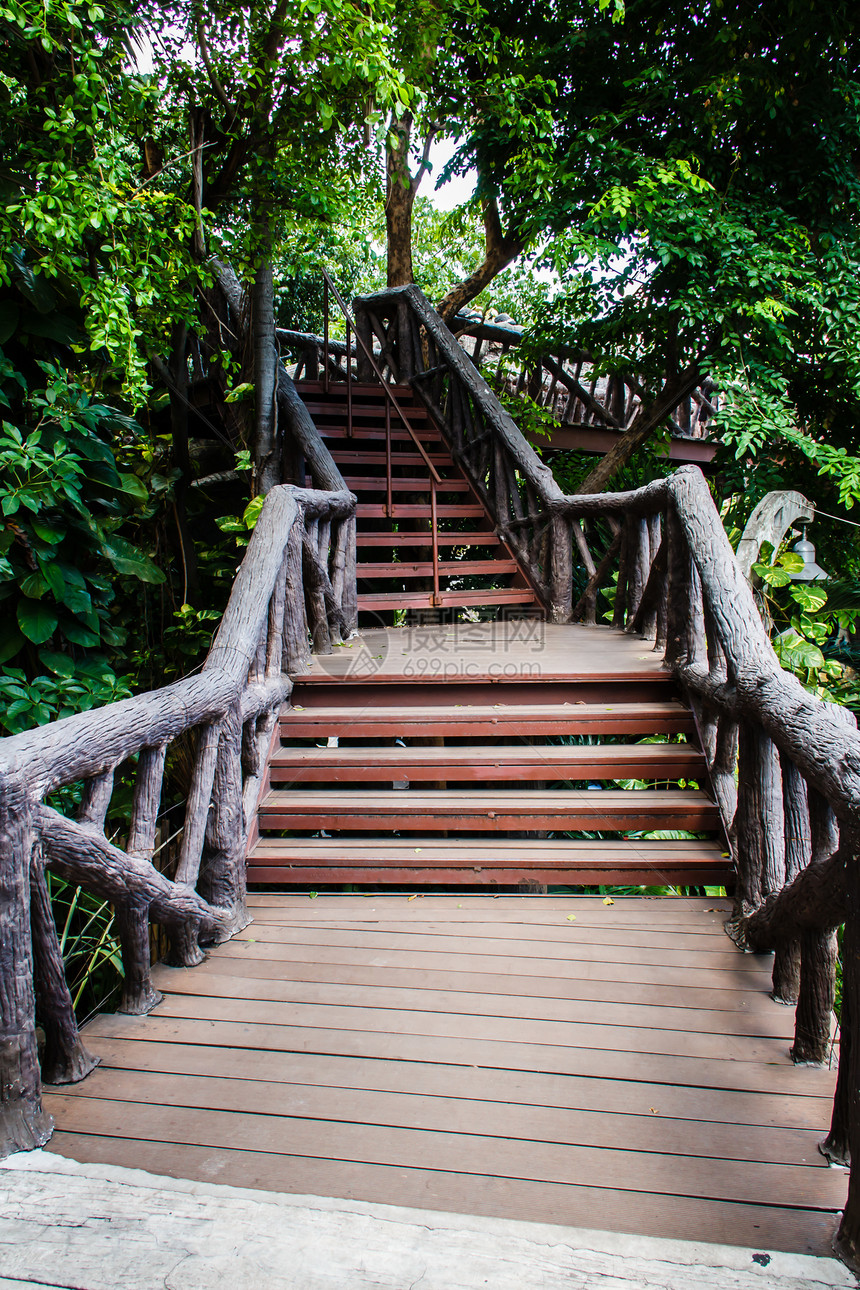园圃中的过道者荒野楼梯梯子环境远足小路木头森林人行道旅行图片