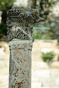古代柱体叶子建筑学树叶柱子古董装饰背景图片