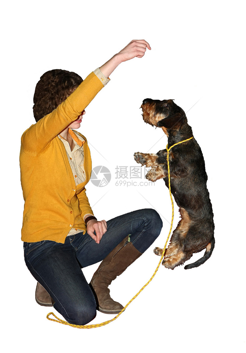 快乐狗狗忠诚朋友节目女孩们犬展宠物动物跳跃图片