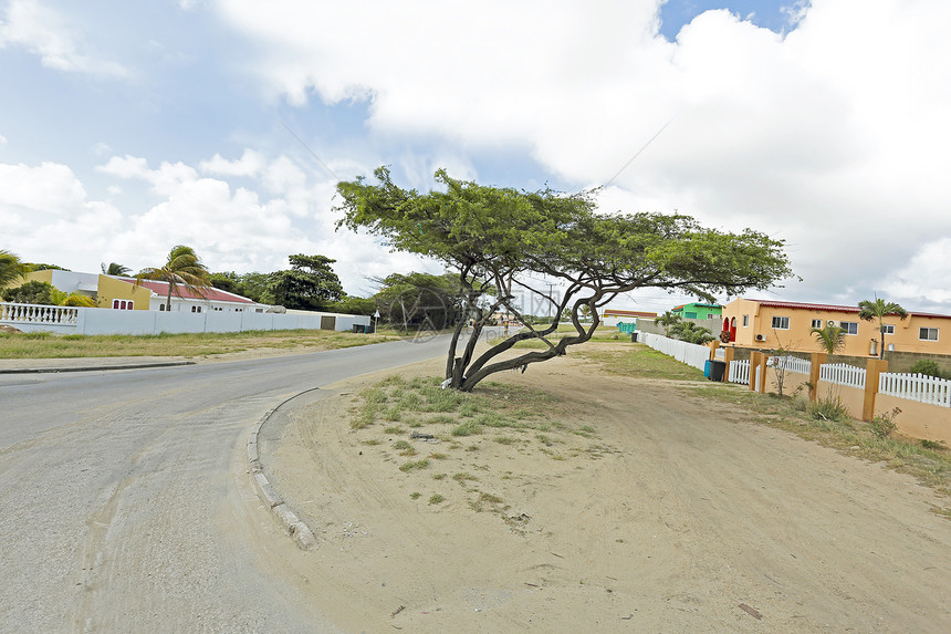 在加勒比海阿鲁巴岛的乡村图片