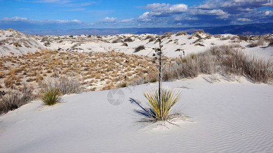 白沙 新墨西哥州蓝色风景旅游纪念碑天空沙漠冒险海浪白色石膏背景