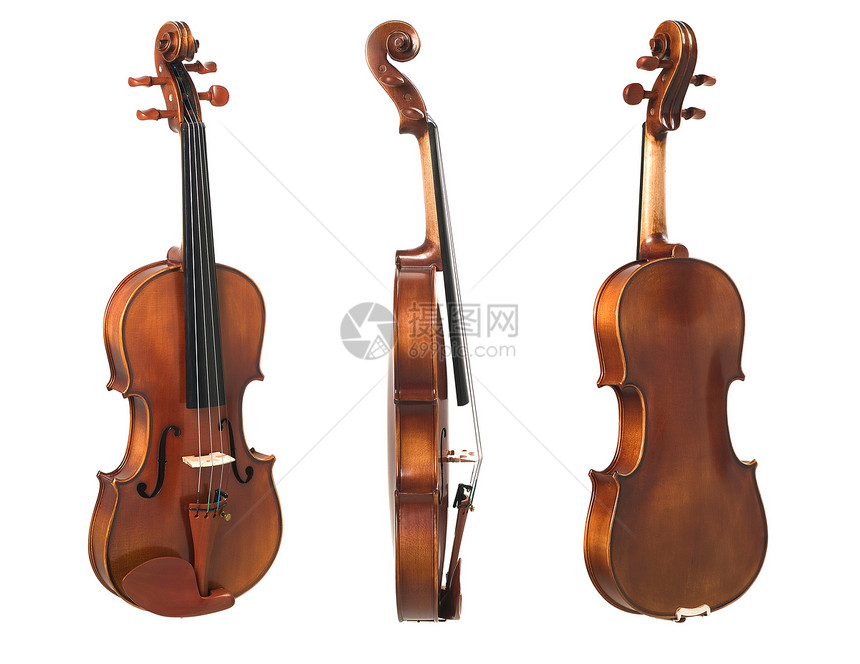 小提琴三视图图片