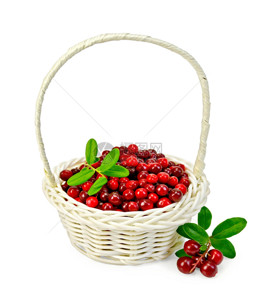 在白篮子里熟熟的连莓图片