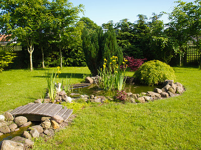 花园池塘绿色的宁静高清图片