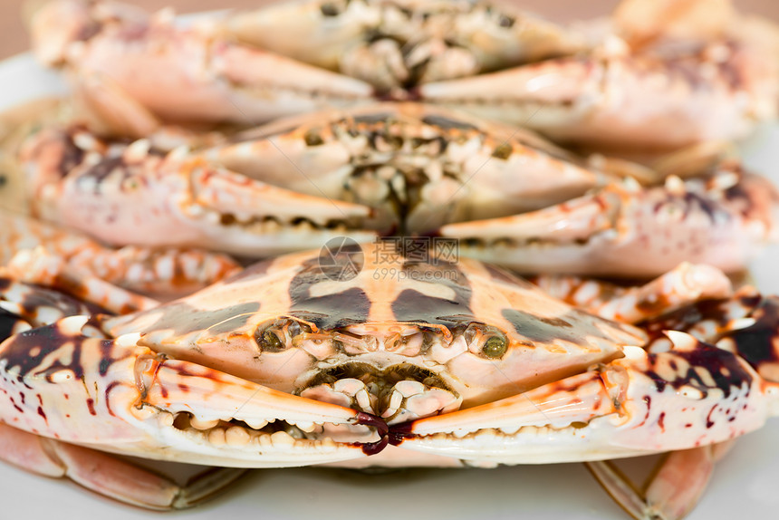 白盘上的大螃蟹美食盘子螃蟹荒野食物餐厅衣服海洋热带烹饪图片