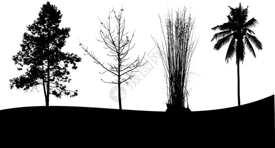 树剪影黑色白色背景上的树轮尾图集树木插图剪影收藏桦木叶子植物松树木头黑色背景
